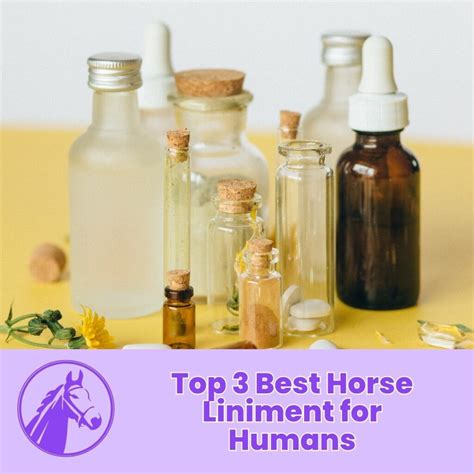 Top 3 Best Horse Liniment for Humans: 2024 Guide