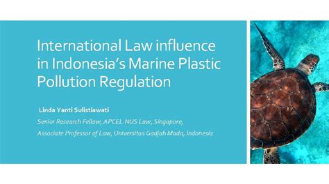 International Law Influence In Indonesias Marine Plastic Pollution