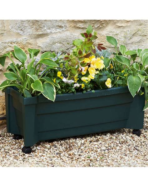 Green Self Watering Planter With Trellis On Wheels Pure Collection