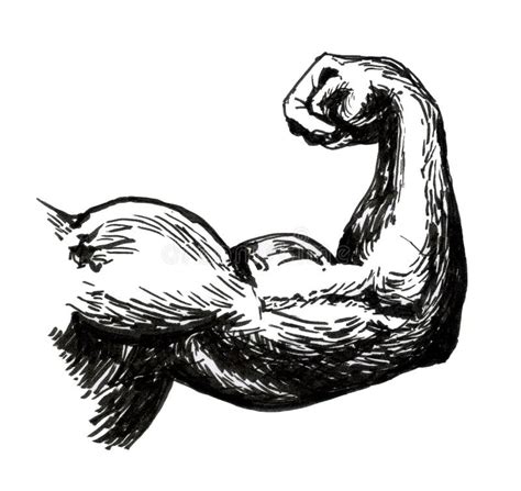 Bicep Drawing