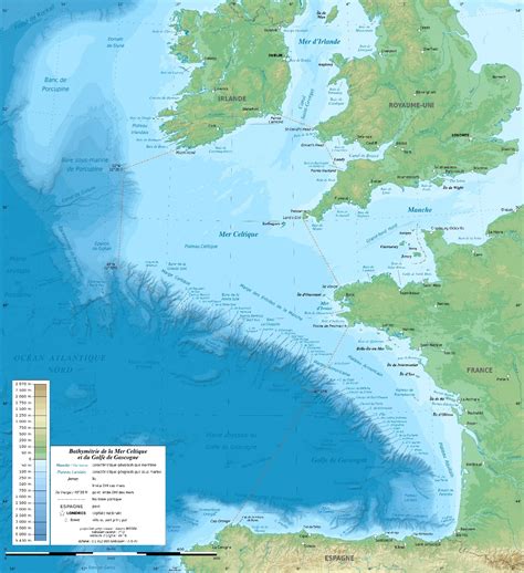 P Che Et Dauphins Dans Le Golfe De Gascogne Sea E Scape