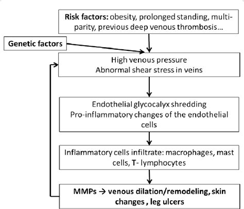 Hypertension Pathophysiology Diagram