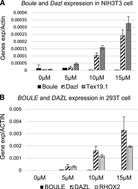 Dna Demethylation Upon Treatment With 5 Aza Dc Increases Expression Of Download Scientific