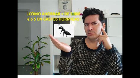 Gastos Hormiga 🐜 ¿quÉ Son Los Gastos Hormiga 💱 Gastos Innecesarios 🤑