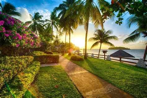 Green Grass Beach Sunset Palm Trees Sea Hd Wallpaper Wallpaper Flare