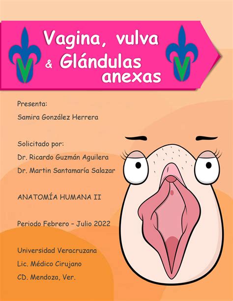 Sgh Vagina Vulva Y Glandulas Anexas Vagina Vulva Gl Ndulas