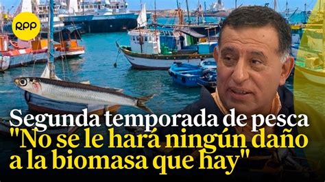 Segunda Temporada De Pesca No Se Trata De Anchovetas Juveniles Son