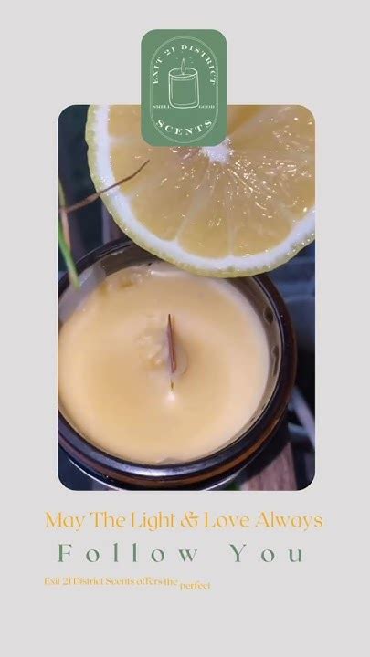 Ed21 Scents Summer Edition 🍊🍋🍋‍🟩citrus Blend Light And Refreshing Wind