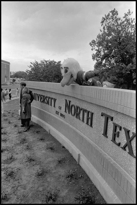 Scrappy The Eagle The Portal To Texas History