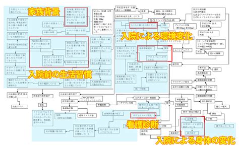 全体関連図の書き方！実習対策 根拠がわかる看護義塾