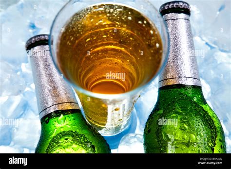 Beer is in ice Stock Photo - Alamy