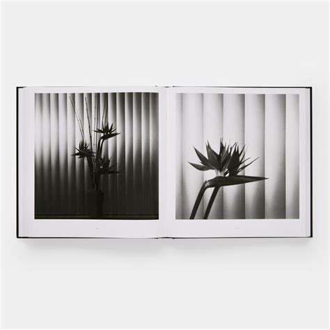 Mapplethorpe Flora Photography Store Phaidon