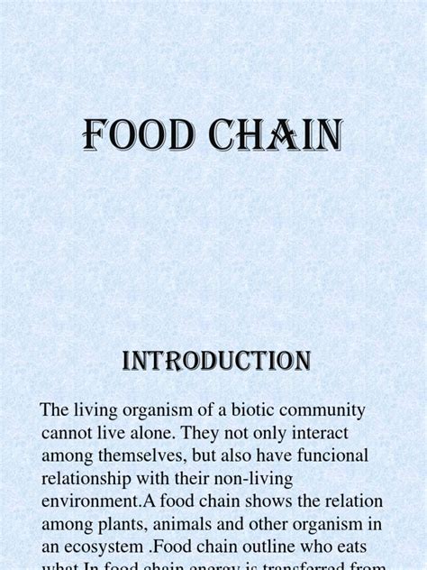 Food Chain PPT Final Report New | Download Free PDF | Food Web ...