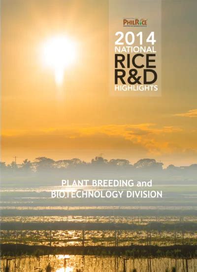 Basic Seed Production of Philippine Rice Varieties and Promising Lines