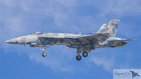 228 best Murder Hornet images on Pholder | Interestingasfuck, Pics and