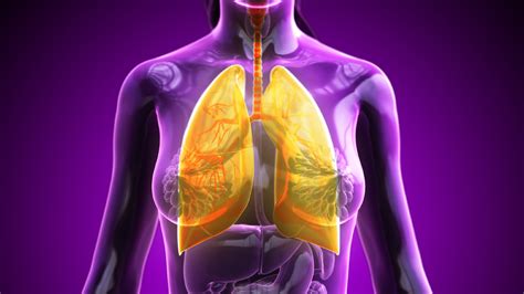 pulmonary medicine meded