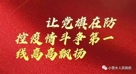 【党旗在一线高高飘扬】第2期：让党旗在小营乡防控疫情斗争第一线高高飘扬澎湃号·政务澎湃新闻 The Paper