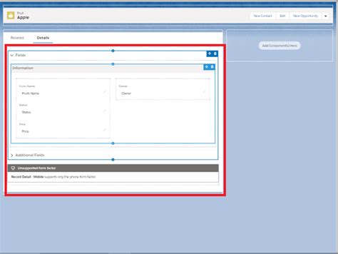 Salesforce Dynamic Forms salesforce中component visibility CSDN博客