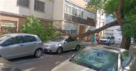 La caída de una enorme rama de un árbol provoca daños en un coche en la