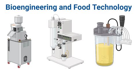 Bioengineering, Bioreactor, and Food Technology