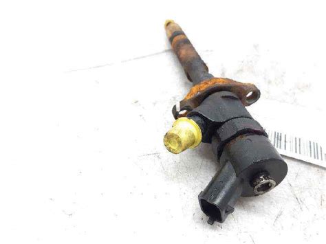 Injector Citro N Xsara Picasso N Hdi B Parts