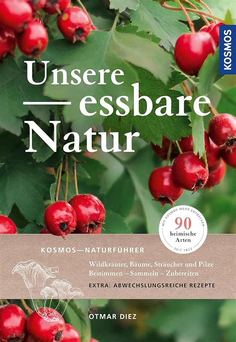 Unsere Essbare Natur Wildkr Uter B Ume Str Ucher Und Pilze Bestimmen