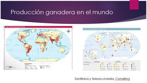 La distribución de las actividades económicas primarias en el mundo