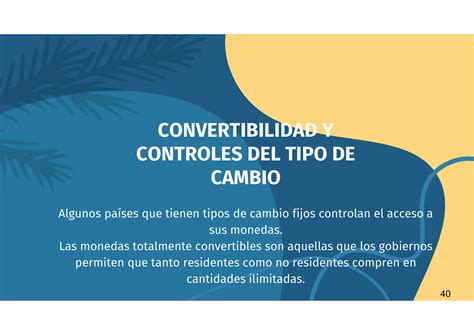 Determinacion De Tipos De Cambio Y Regimenes Cambiarios Ppt