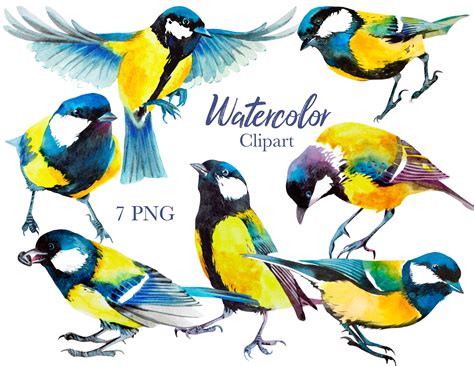 Watercolor Clipart Bird Clip Art Printable Instant Download | Etsy