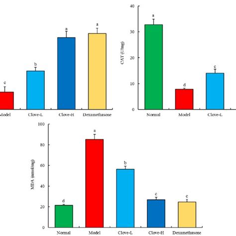 Oxidative Stress In The Mouse Hippocampus A D Indicates Significant Download Scientific