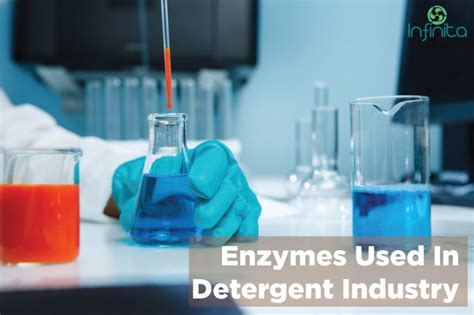 Enzymes Used In Detergent Industry Infinita Biotech