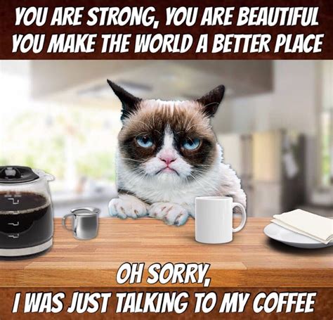 Grumpy Cat Coffee☕️ Grumpy Cat Cat Coffee Grumpy Cat Quotes