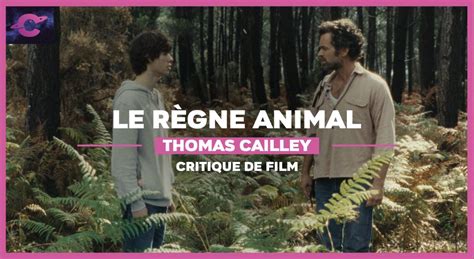 Le Règne Animal De Thomas Cailley Des Animaux Fantastiques Films