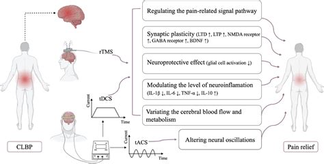 Frontiers Non Invasive Brain Neuromodulation Techniques For Chronic