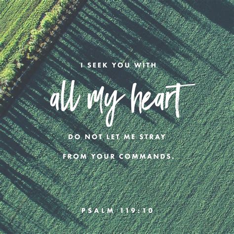 Psalms 119 10 I Seek You With All My Heart Do Not Let Me Stray From