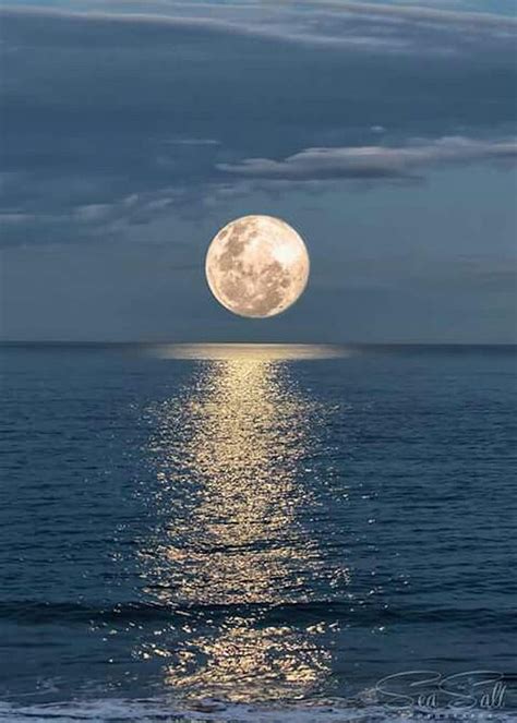 1920x1080px, 1080P free download | Moon and ocean, moonlight, sea, HD ...