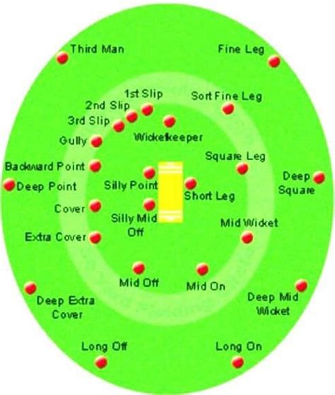 Cricket Fielding Rules: Basics Explained | cric-life.com