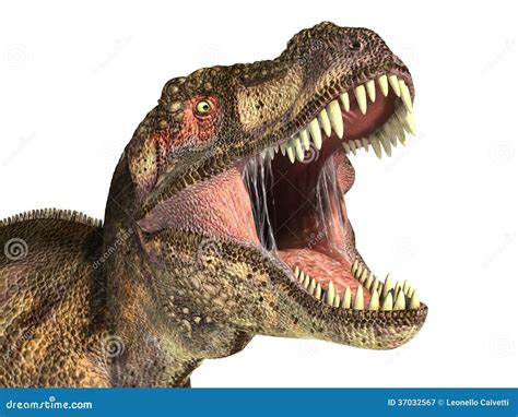 Tyrannosaurus Rex Dinosaur Photorealistic Representation Head Stock