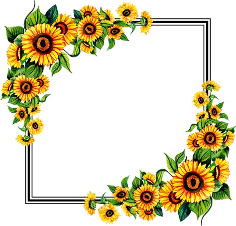 Sunflower Frame Transparent Background