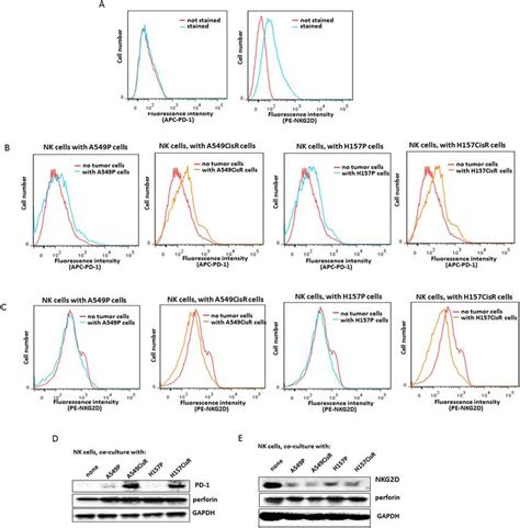 Expression Of Pd Nkg D In Nk Cells With Or Without Co Culture With