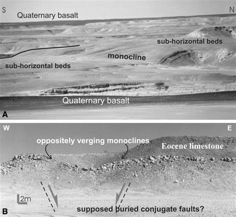 Monocline