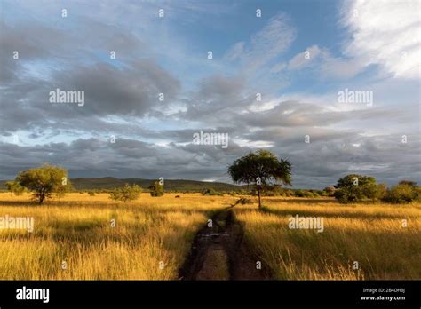 Ngorongoro Krater Nationalpark Stockfotos Und Bilder Kaufen Alamy