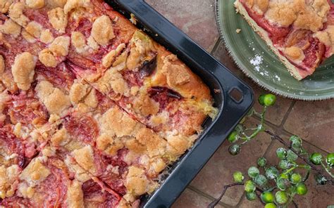 Bester Pflaumenkuchen Mit Streusel Vom Blech Zimtliebe Schnelle