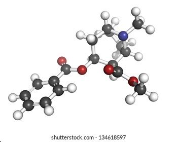 Cocaine Drug Molecular Model Atoms Represented Stock Illustration ...