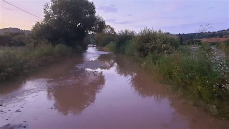 Cod galben de viituri în județul Arad Glasul Aradului