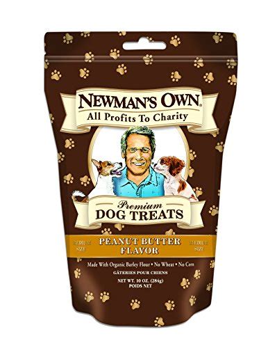 13 Best Healthy Dog Treats Of 2024 All Natural And Organic