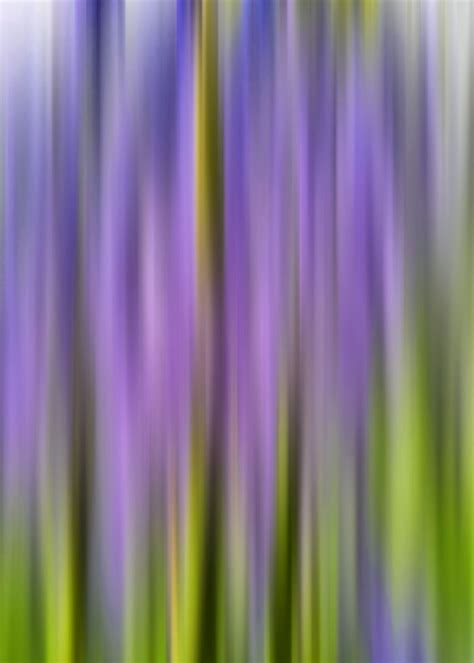 A Blur Of Bluebells Poster Picture Metal Print Paint By Mandy