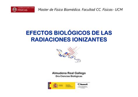 Efectos Biol Gicos De Las Radiaciones Ionizantes