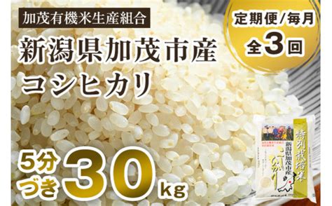 【定期便3回毎月お届け】【2024年先行予約】【令和6年産新米】【5分づき】新潟県加茂市産 特別栽培米コシヒカリ 精米 30kg（5kg×6