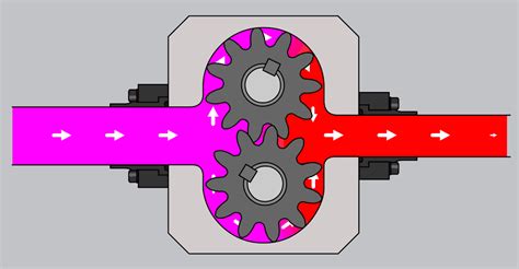 Gear Pump Animation